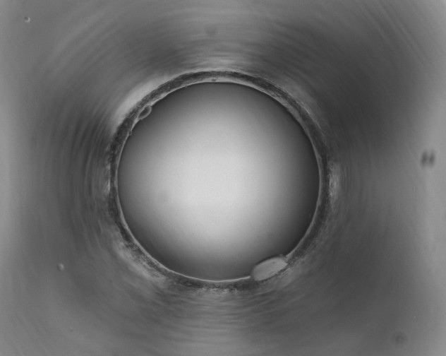 X0000112021069200908031351