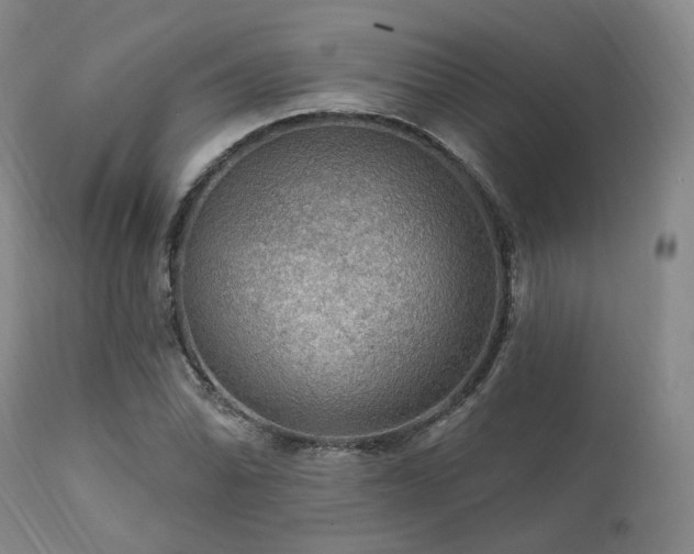 X0000112021070200908031351