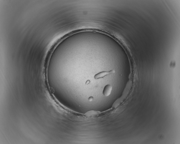 X0000112021072200908031351