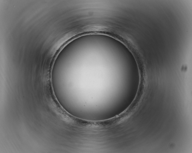 X0000112021073200908031351