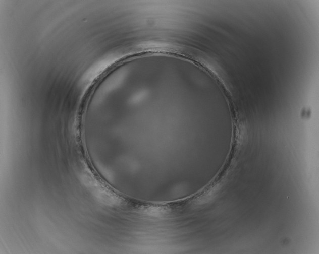 X0000112021074200908031351