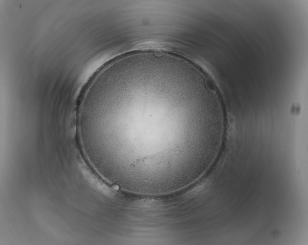 X0000112021075200908031351