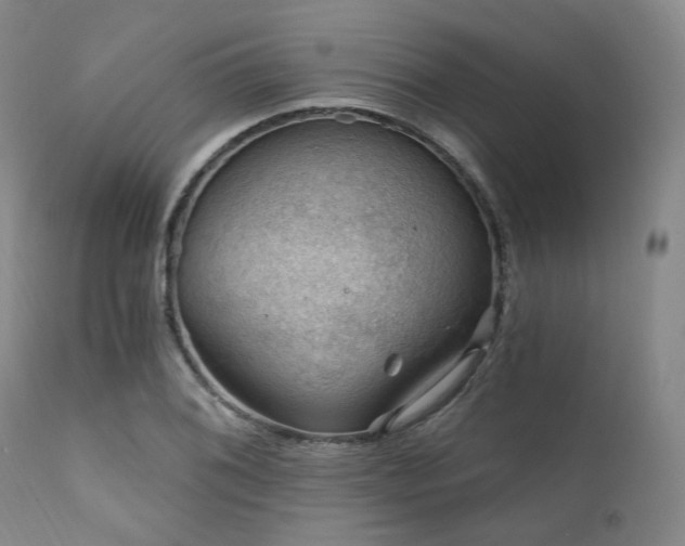 X0000112021076200908031351