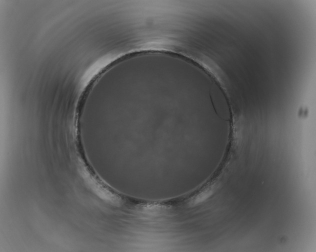 X0000112021077200908031351