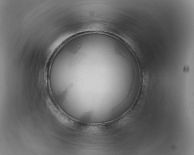 X0000112021078200908031351