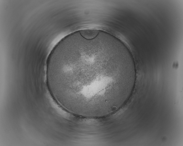 X0000112021079200908031351