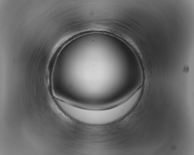 X0000112021080200908031351