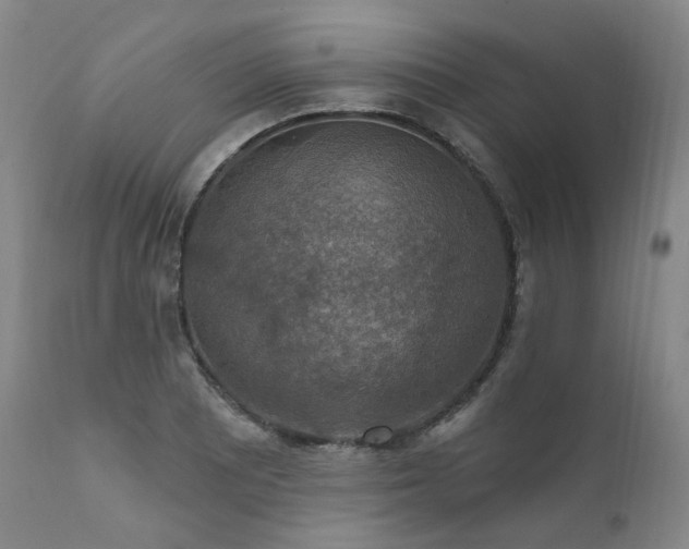 X0000112021081200908031351