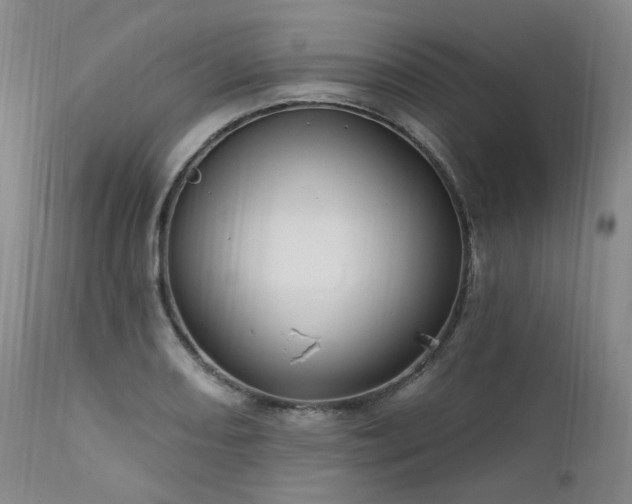 X0000112021082200908031351