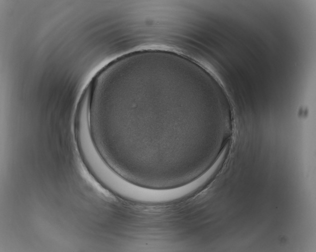 X0000112021084200908031351