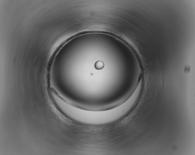 X0000112021085200908031351