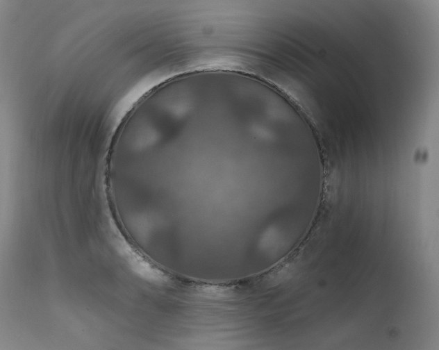 X0000112021086200908031351