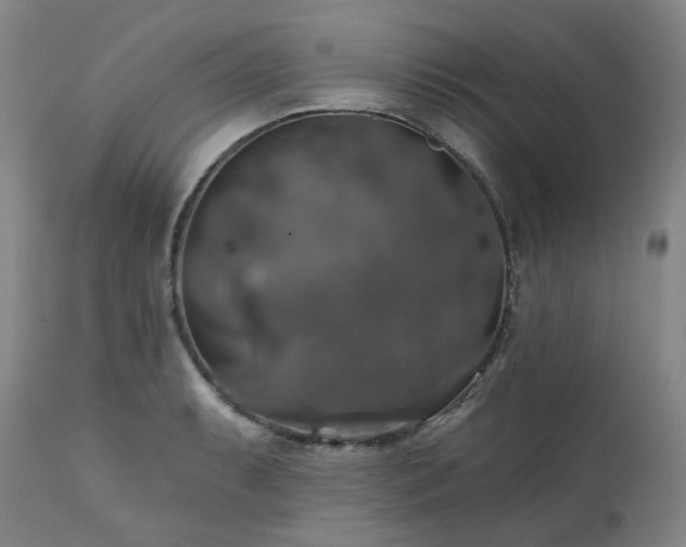 X0000112021087200908031351