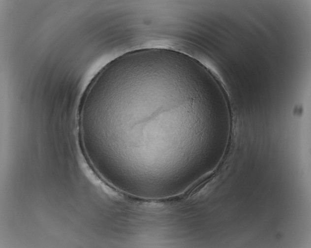 X0000112021088200908031351