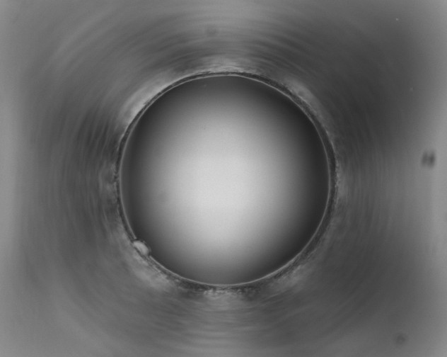 X0000112021089200908031351