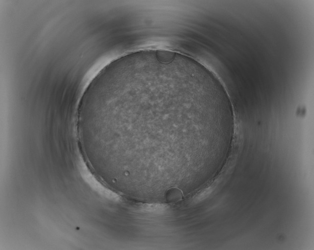 X0000112021090200908031351