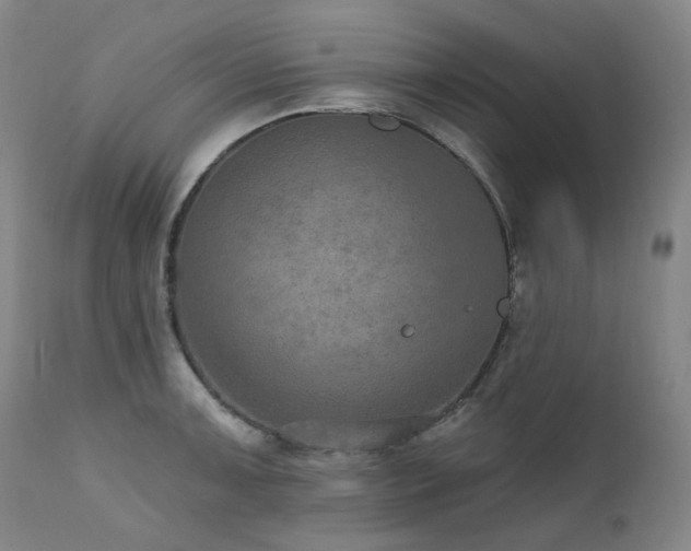 X0000112021091200908031351