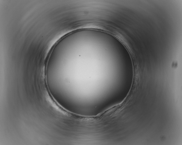 X0000112021092200908031351