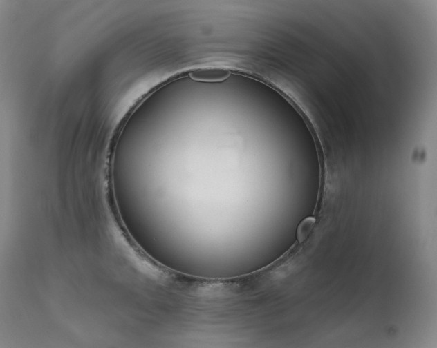 X0000112021093200908031351