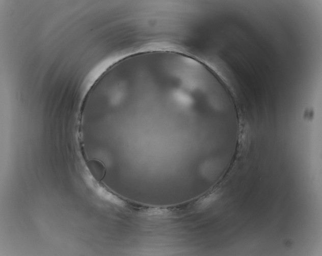 X0000112021094200908031351