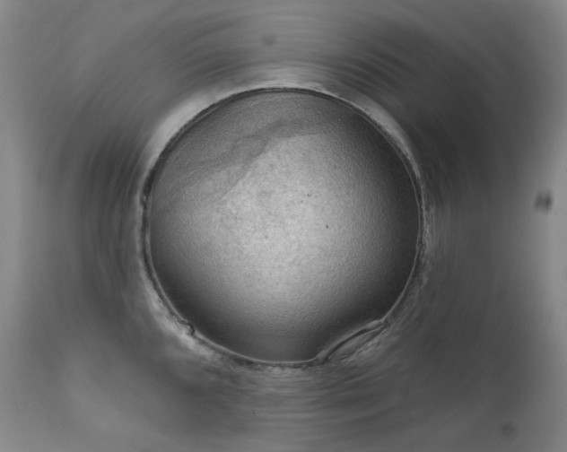 X0000112021096200908031351