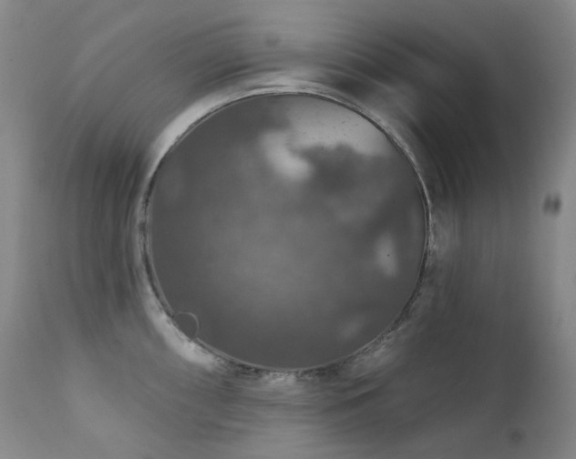 X0000112021098200908031351