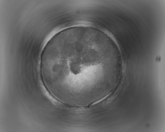 X0000112021099200908031351