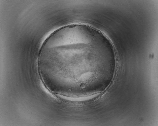 X0000112021100200908031351