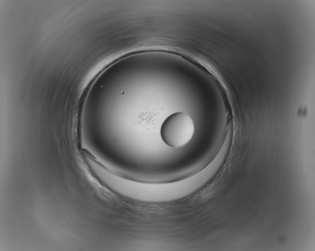 X0000112021101200908031351