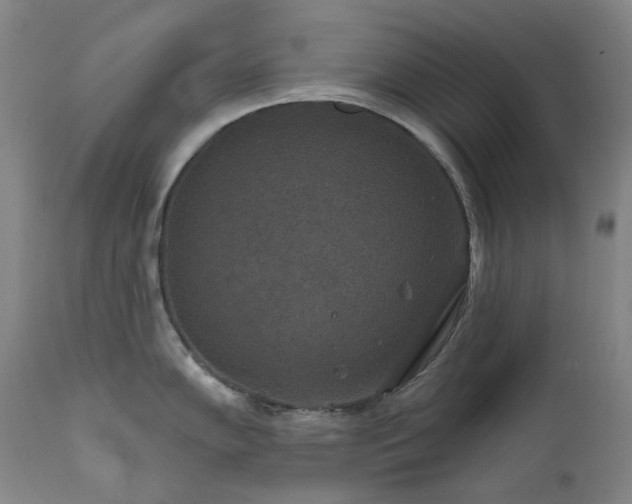 X0000112021102200908031351