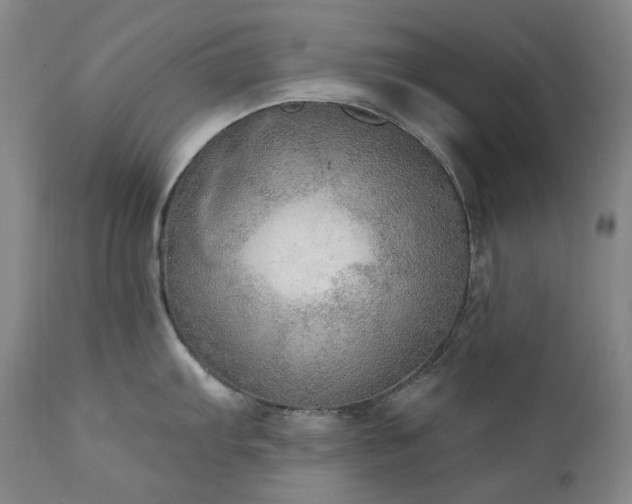 X0000112021103200908031351