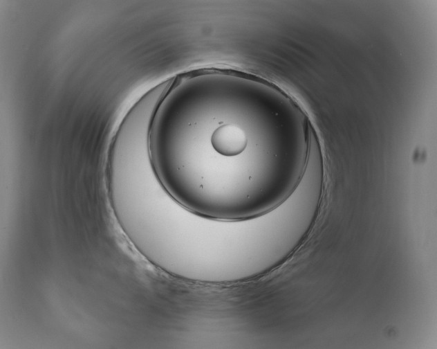 X0000112021104200908031351