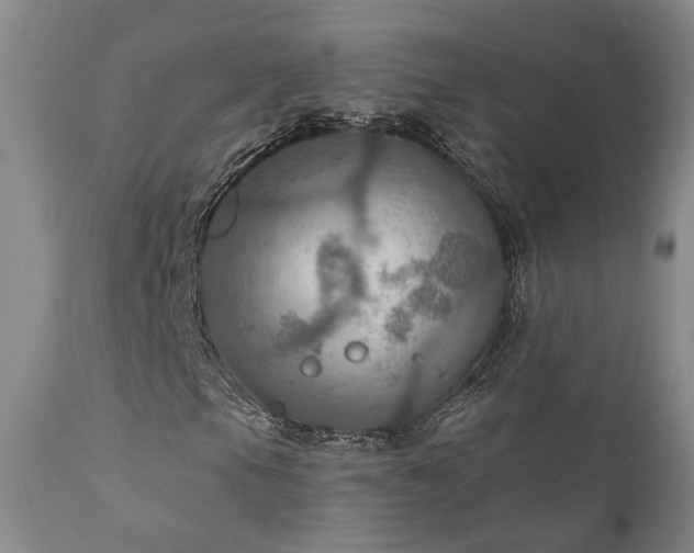 X0000112021105200908031350