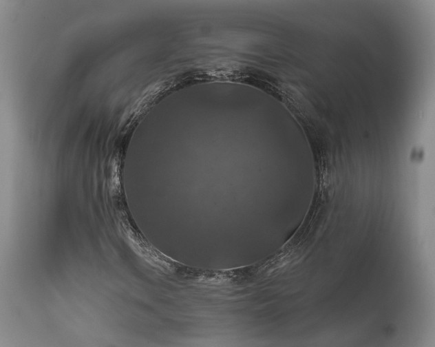 X0000112021106200908031350