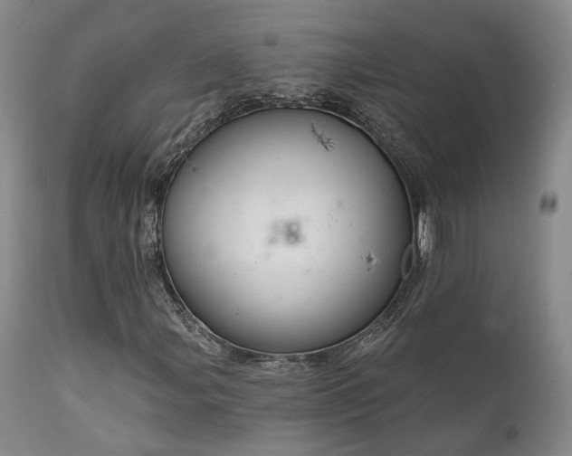 X0000112021107200908031350