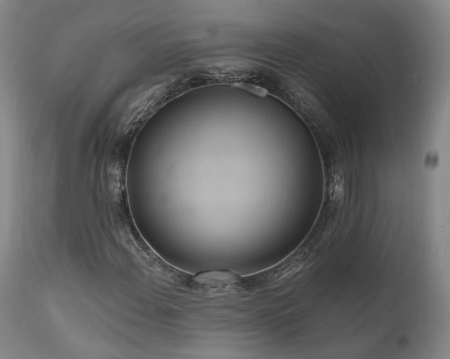 X0000112021108200908031350