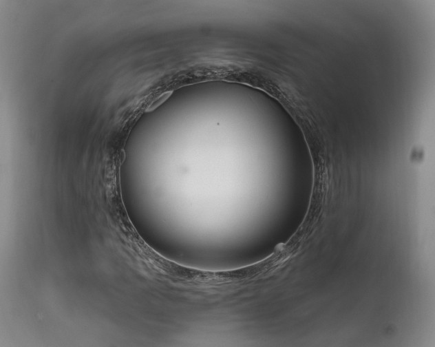 X0000112021109200908031350