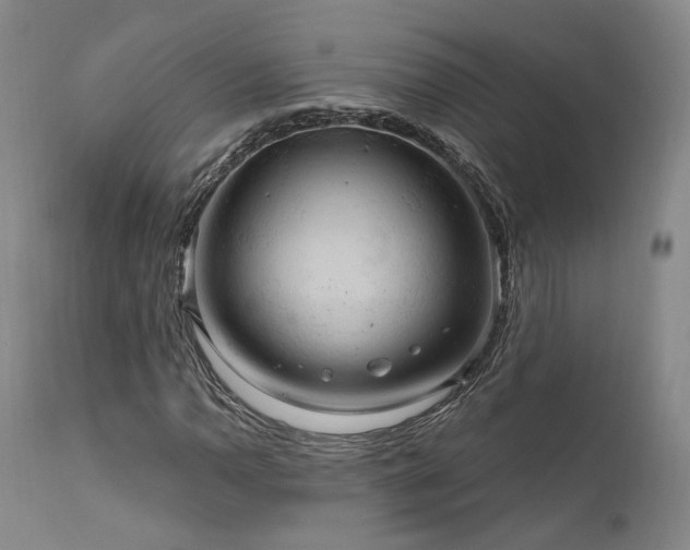 X0000112021110200908031350