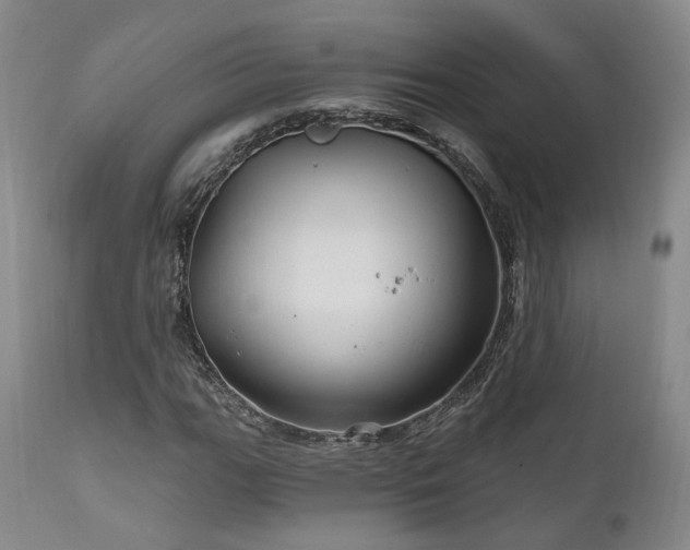 X0000112021111200908031350