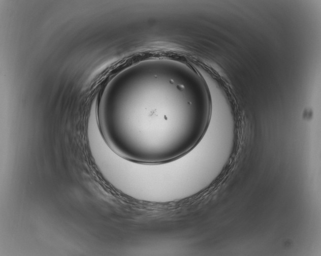 X0000112021112200908031350