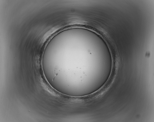 X0000112021113200908031350