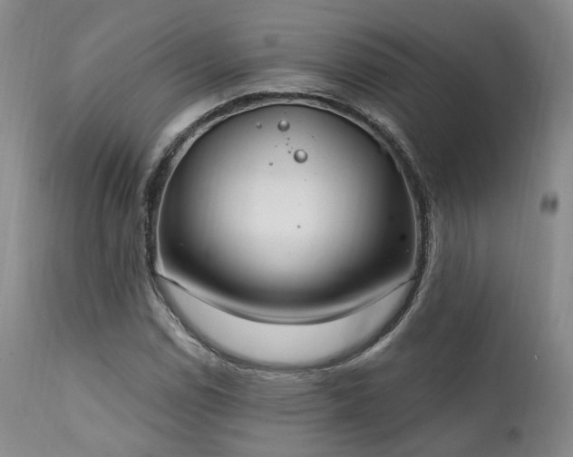 X0000112021114200908031350