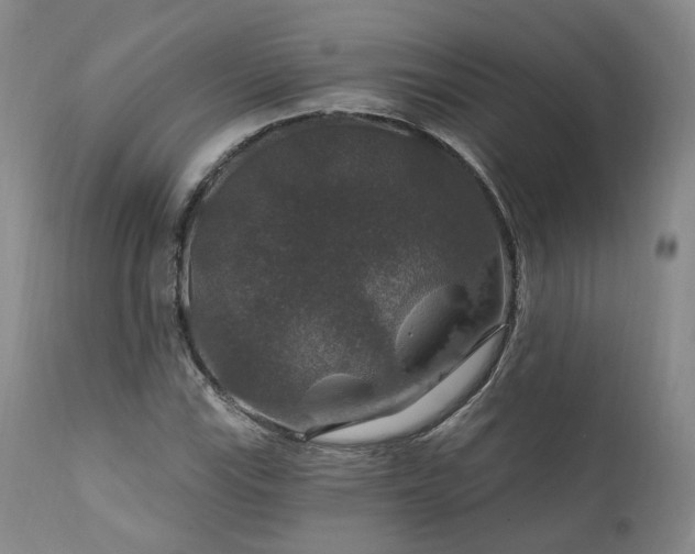 X0000112021115200908031350