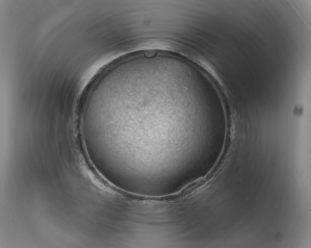 X0000112021116200908031350