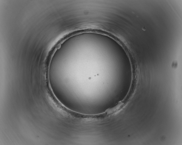 X0000112021118200908031350