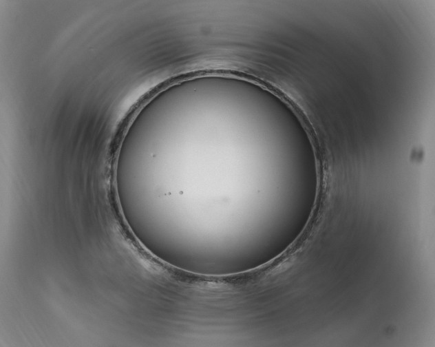 X0000112021119200908031350