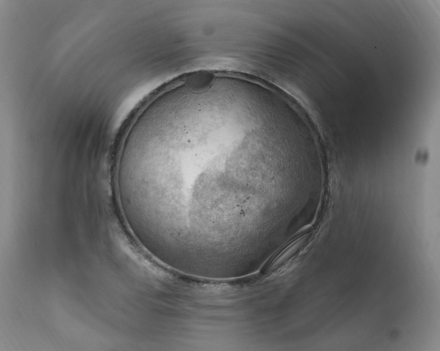 X0000112021120200908031350