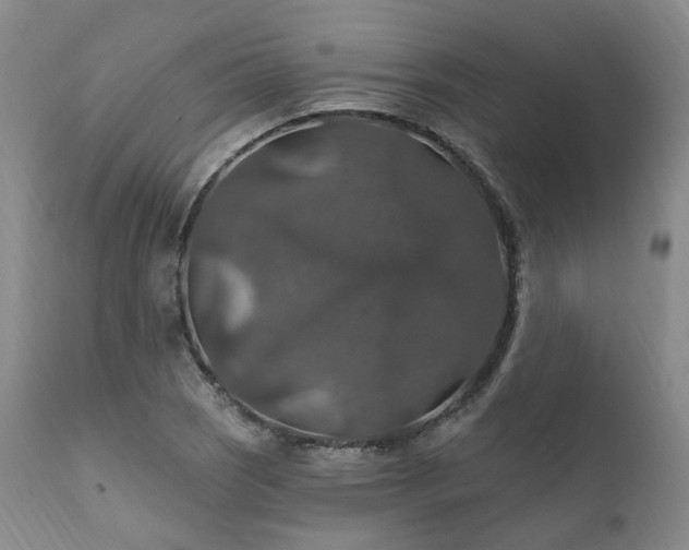 X0000112021121200908031350