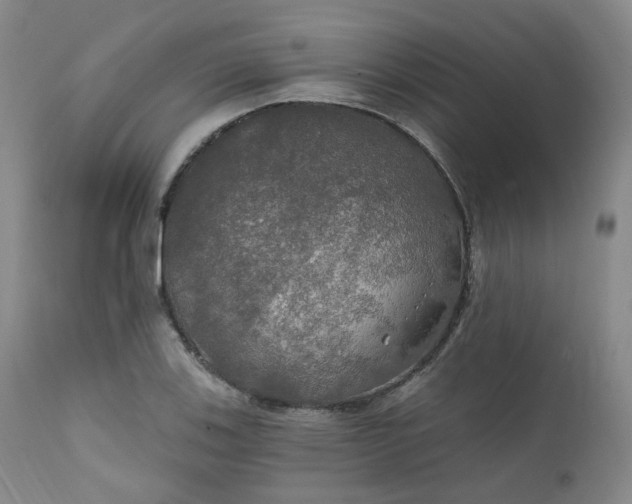 X0000112021123200908031350