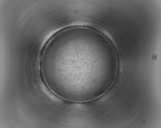 X0000112021124200908031350